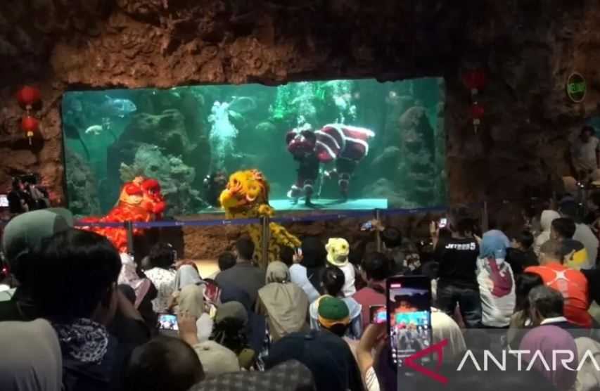 Barongsai Dan Dragon Bawah Air Meriahkan Perayaan Imlek Di Ancol