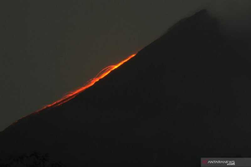 Gunung Merapi 12 Kali Luncurkan Guguran Lava Koran Jakarta