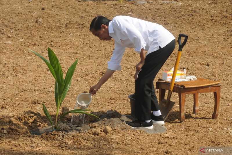 Keren Indonesia Terima Penghargaan IRRI Atas Capaian Swasembada Beras