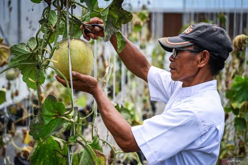 Perkuat Inovasi BRIN Implementasi Pertanian Cerdas Untuk Hadapi