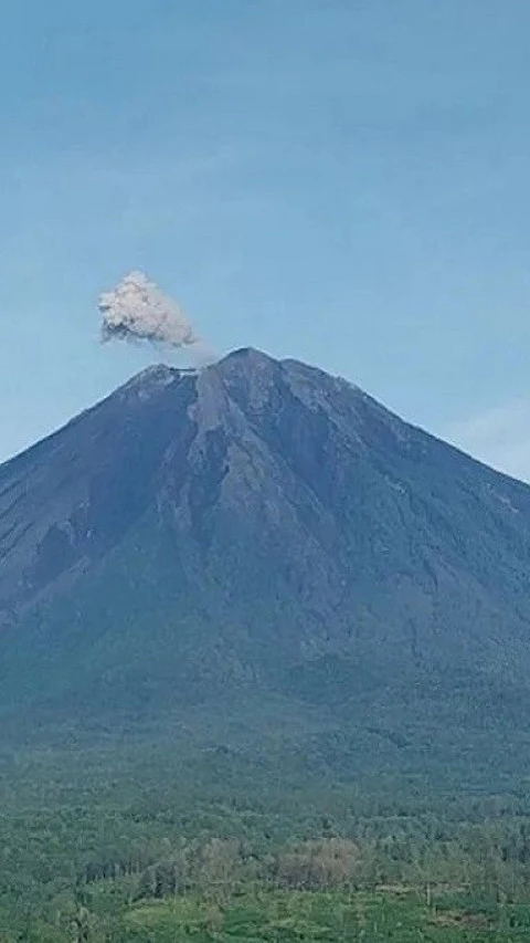 Warga Diminta Waspada Gunung Semeru Erupsi Kali Dengan Tinggi