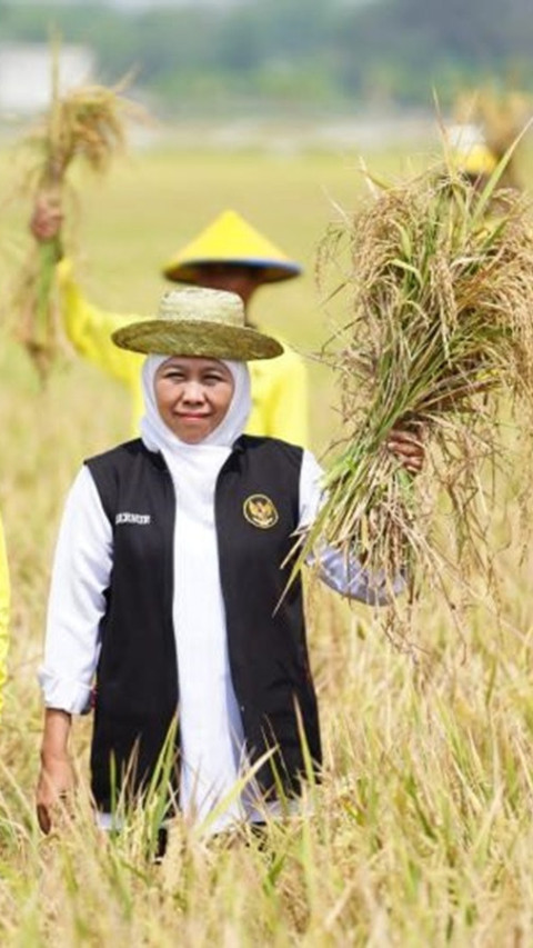 Gubernur Terpilih Khofifah Pastikan Jatim Siap Dukung Swasembada Pangan