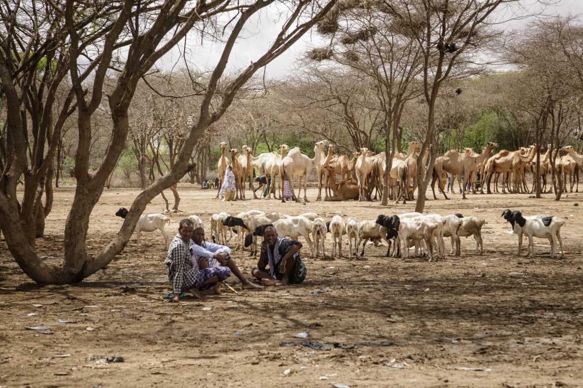 118 Juta Warga Afrika Terancam Kekeringan dan Panas Ekstrem