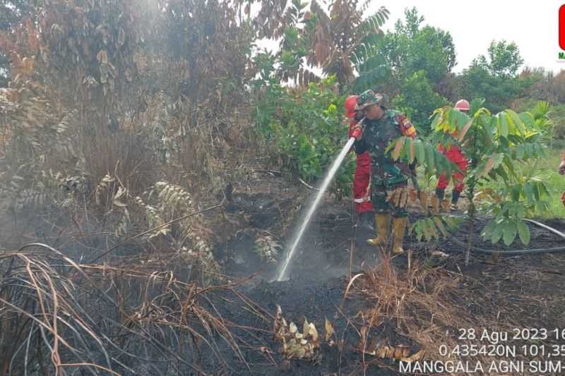 2.029 Hektare Lahan di Riau Hangus Akibat Karhutla Sejak Januari-8 Oktober 2023