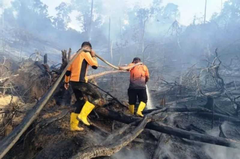 77 Titik Panas Terdeteksi di Kaltim, Semua Pihak Diminta Lebih Waspada