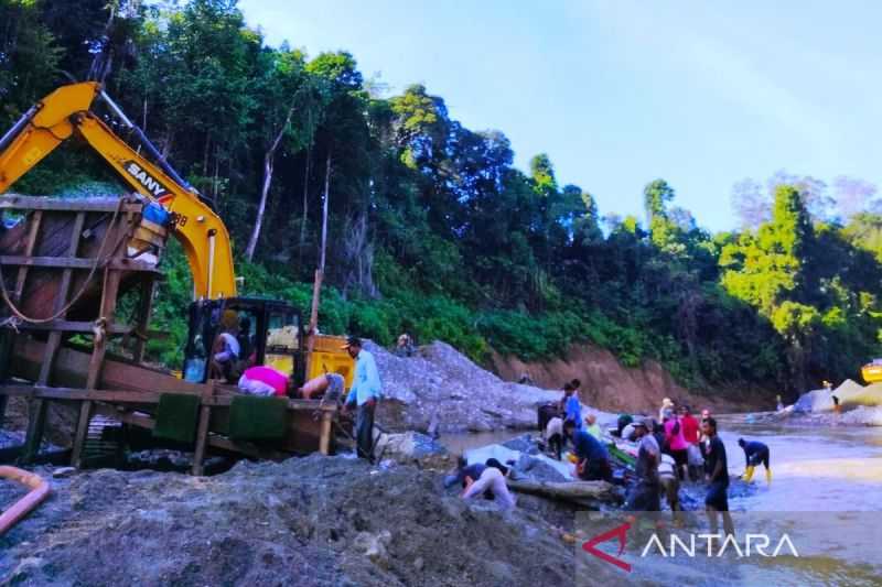 972 Ha Hutan di Nagan Raya Aceh Rusak Akibat Perambahan dan Tambang Ilegal