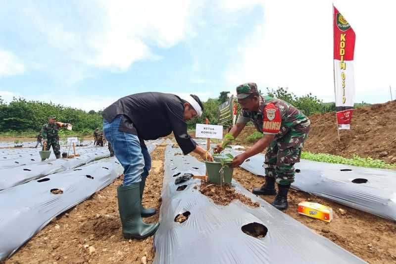 Anggota DPR Sebut Jaga Ketahanan Pangan Berarti Ikut Menjaga Negara