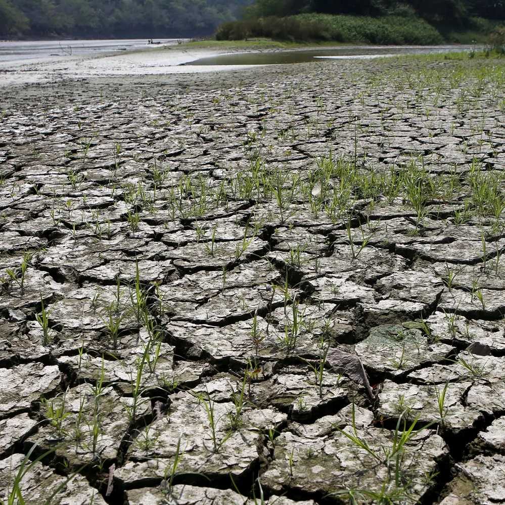 Antisipasi Hadapi El Nino Lemah
