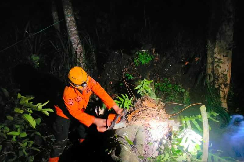Aparat Atasi Pohon Tumbang Tutup Jalan di Sukabumi