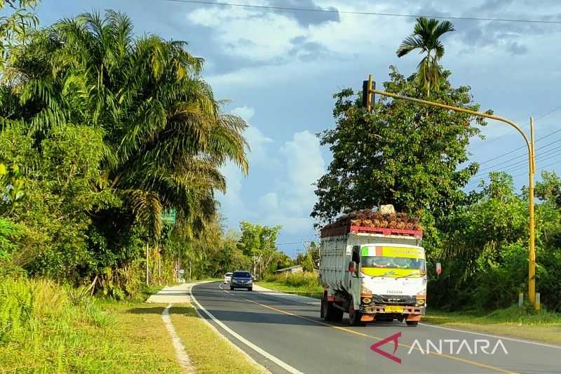 Banyak yang Bandel, Pertamina: Angkutan Industri Sawit Wajib Pakai BBM Nonsubsidi