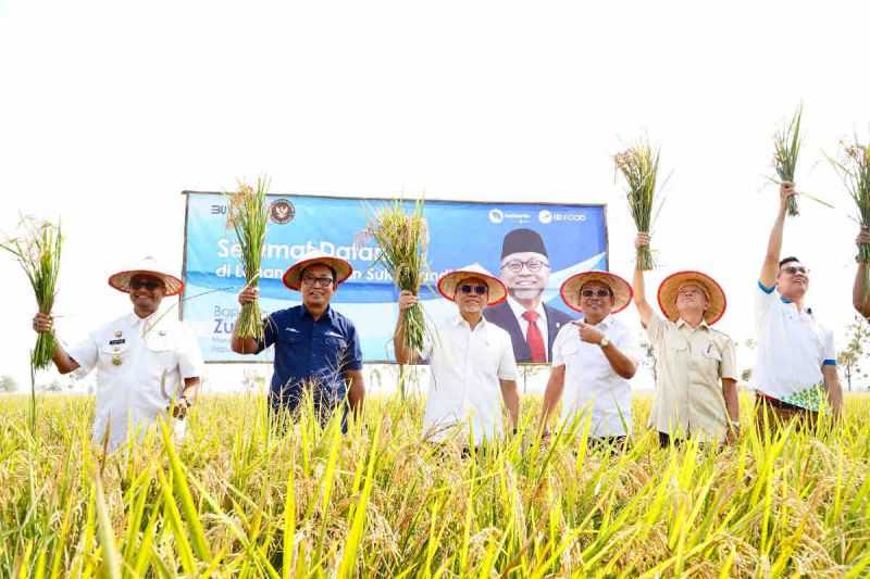 Bapanas Dorong Penggunaan Bibit Padi Unggul untuk Swasembada Pangan