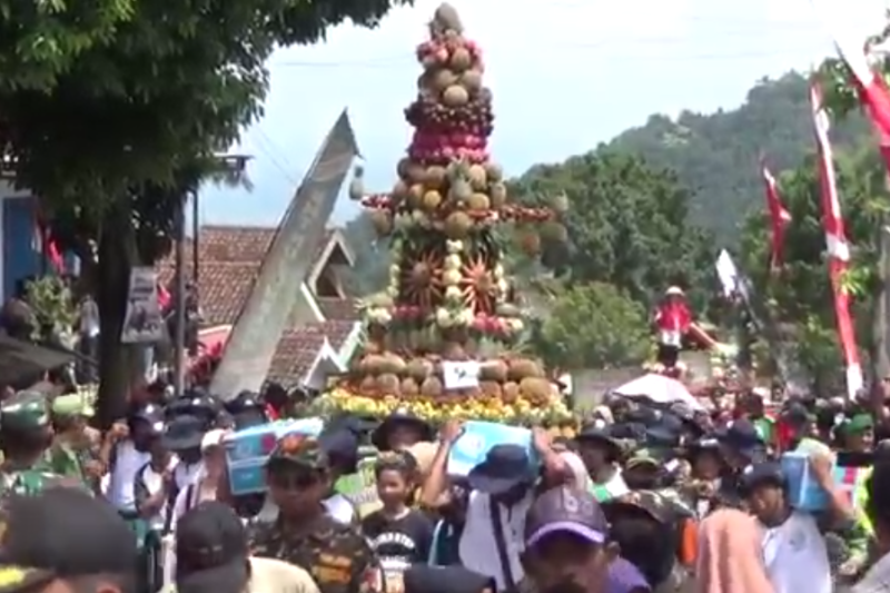 Begini Cara Syukuran Warga Jombang, Warga Berebut Durian Gratis dalam 'Kenduri Durian'