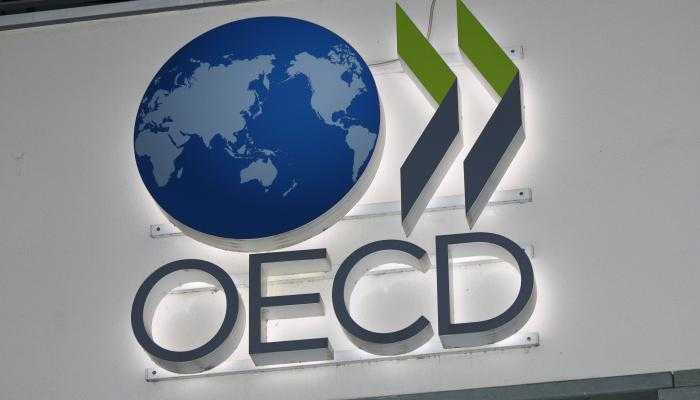 Bergabungnya RI ke OECD Justru Mendorong Impor Makin Marak