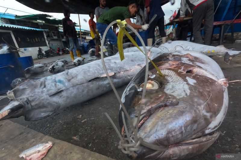 Berita Gembira, Ragam Produk Indonesia Raup Rp66 Miliar di Pameran Kairo