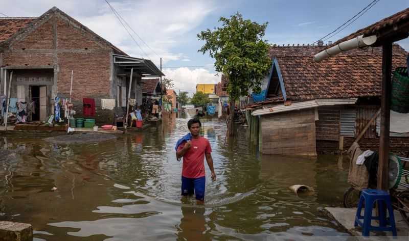 BNPB Mulai Fokus ke Pemulihan Lingkungan Pascabanjir di Demak