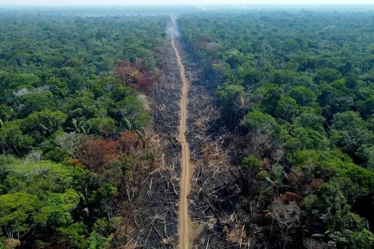 Bolsonaro Tinggalkan Warisan Mengerikan di Hutan Amazon