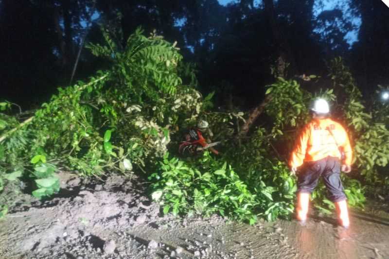 BPBD: Jalur Jember-Banyuwangi di Gunung Gumitir Kembali Longsor