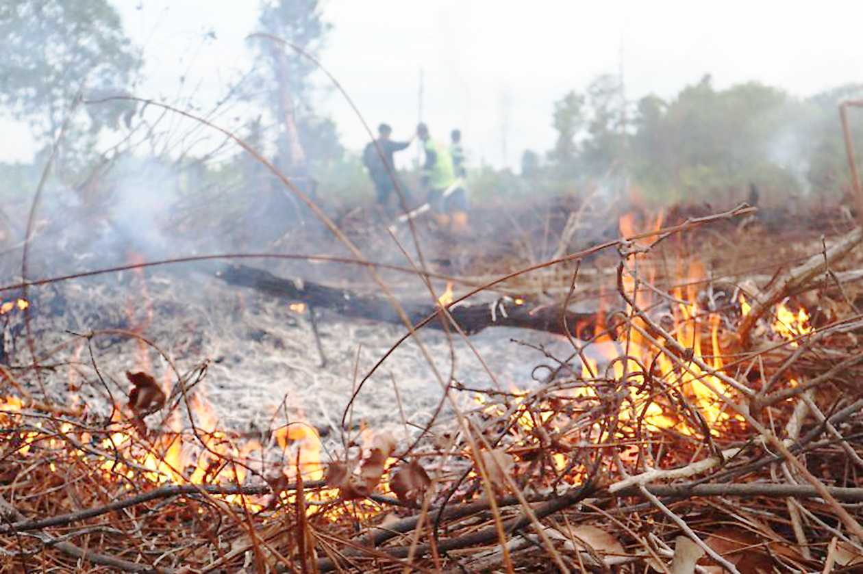 BPBD Palangka Raya: Lahan Terbakar Seluas 9 Hektare Dalam Sehari