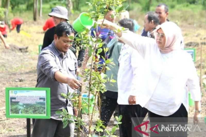 BPDAS Baturusa tanam seribu bibit buah di Desa Namang