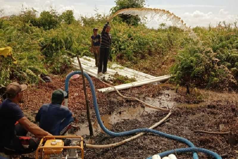 BRGM: Indonesia Perkuat Komitmen dalam Merestorasi Gambut