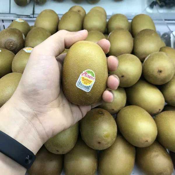 Buah Kiwi Positif Covid-19 Ditarik dari Peredaran