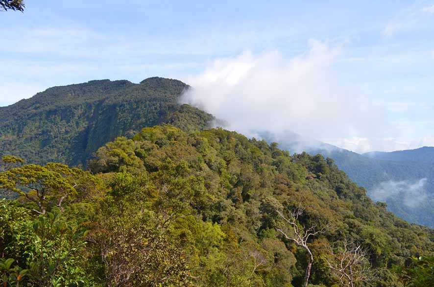 Bukit Raya, Puncak Tertinggi Kedua di Kalimantan