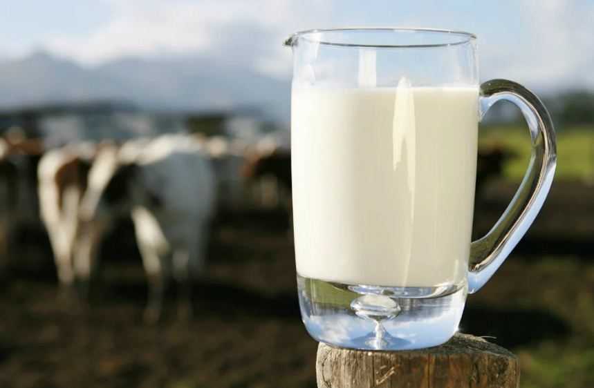Cara Tepat Minum Susu Segar Menurut Dokter Gizi