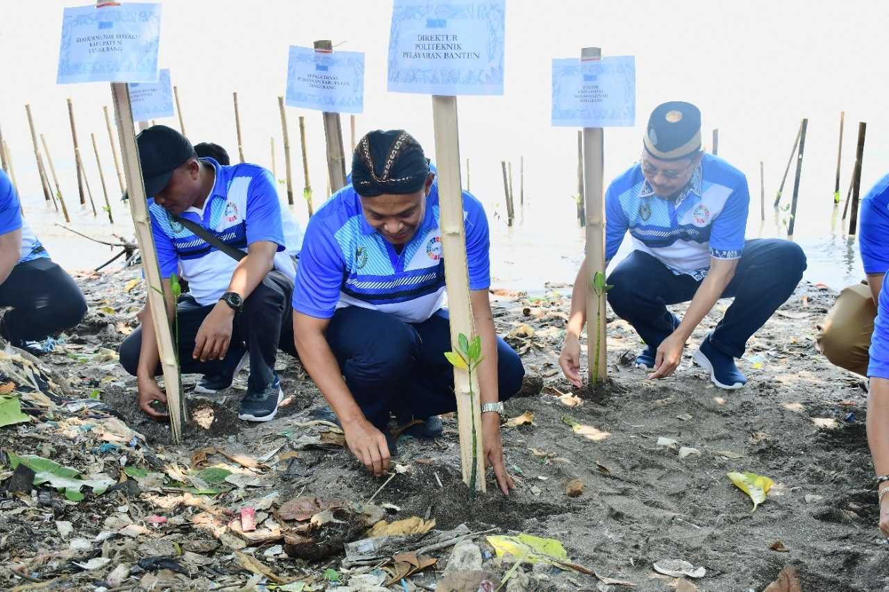 Cegah Abrasi, Politeknik Pelayaran Banten Tanam 3.000 Mangrove 