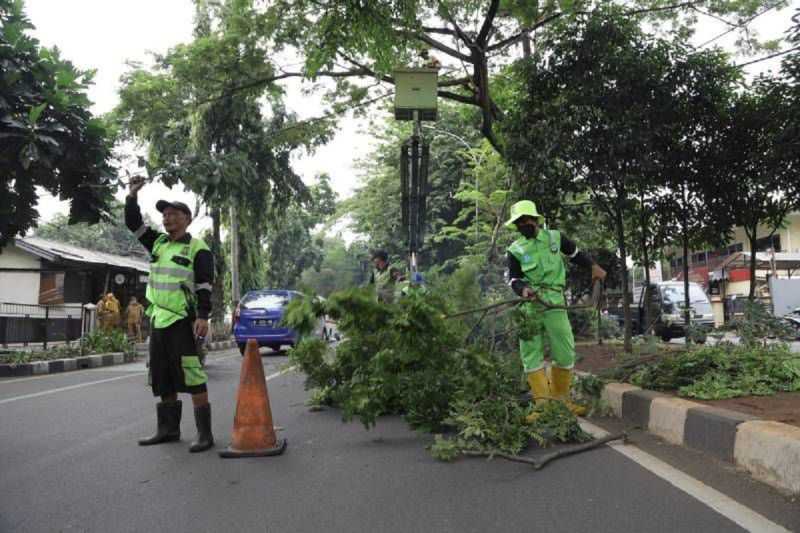 Cegah Bencana akibat Angin Kencang, Warga Tangerang Diimbau Manfaatkan Layanan Pangkas Pohon Gratis
