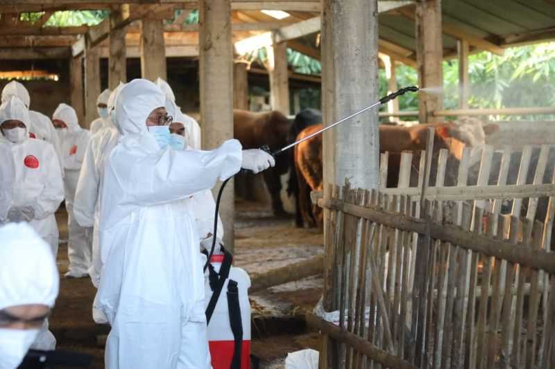 Cegah PMK Meluas, Kementerian Pertanian Kirim Obat-obatan dan APD ke Sejumlah Wilayah