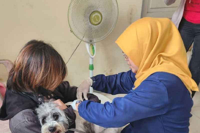 Cegah Rabies, Warga Tangerang Bisa Ajukan Permohonan Vaksinasi Kolektif