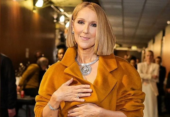 Celine Dion Tampil dalam Acara Penghargaan di Los Angeles