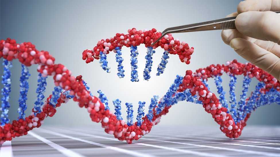 CRISPR, Teknologi Canggih untuk Mengganti dan Modifikasi Gen