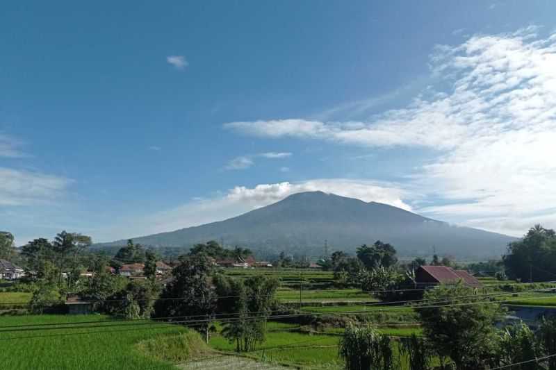 Dampak Erupsi, Petani Lereng Gunung Marapi Harapkan Bantuan Pemerintah