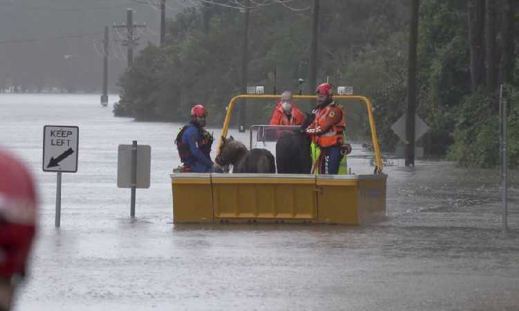 Dampak Fenomena La Nina, Sydney Bakal Dihantam Cuaca Ekstrem Hingga Picu Banjir Bandang dan Tanah Longsor