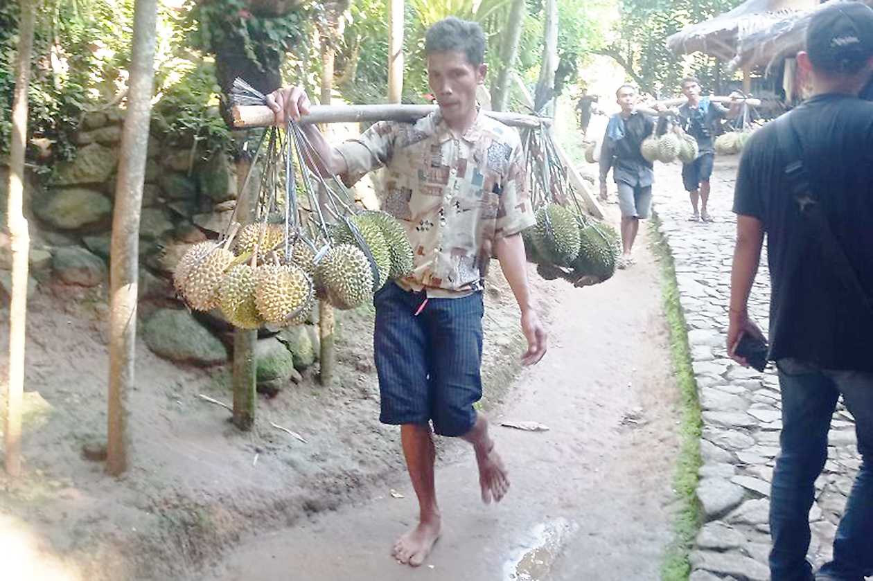 Dari Panen Durian Petani Badui Raup Jutaan Rupiah