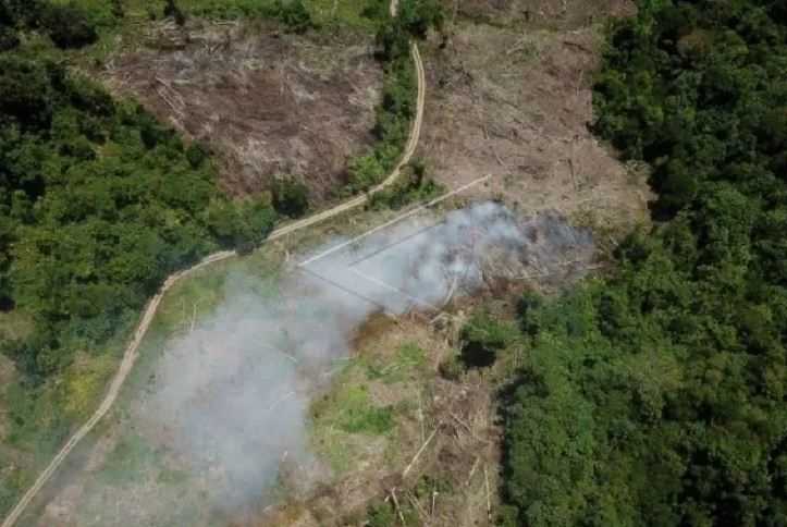 Deforestasi Hutan Aceh Capai 10.000 Ha per Tahun, Ini Biang Keroknya