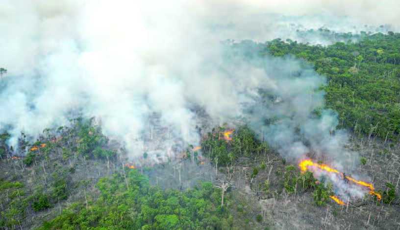 Degradasi Lahan Mengancam Ekonomi dan Kemanusiaan