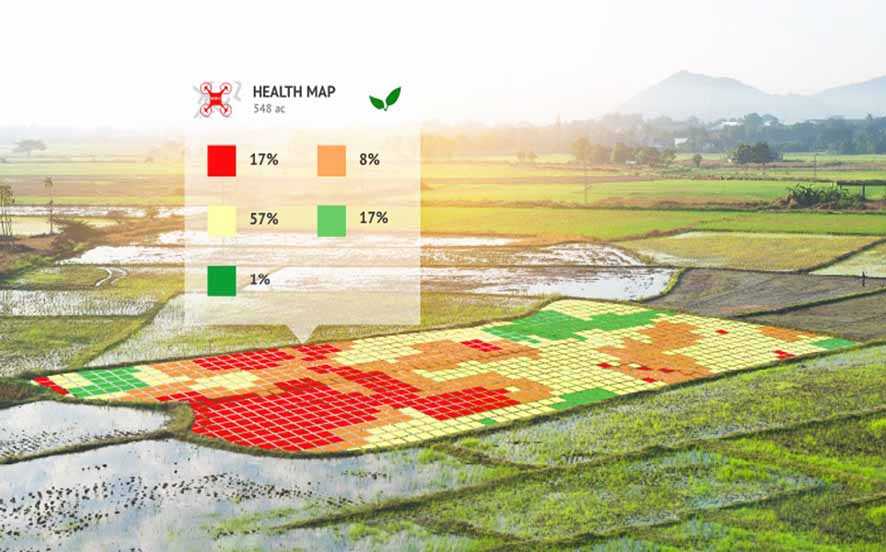 Deteksi Kadar Nitrogen dengan Sensor Pencitraan Akurasi Tinggi