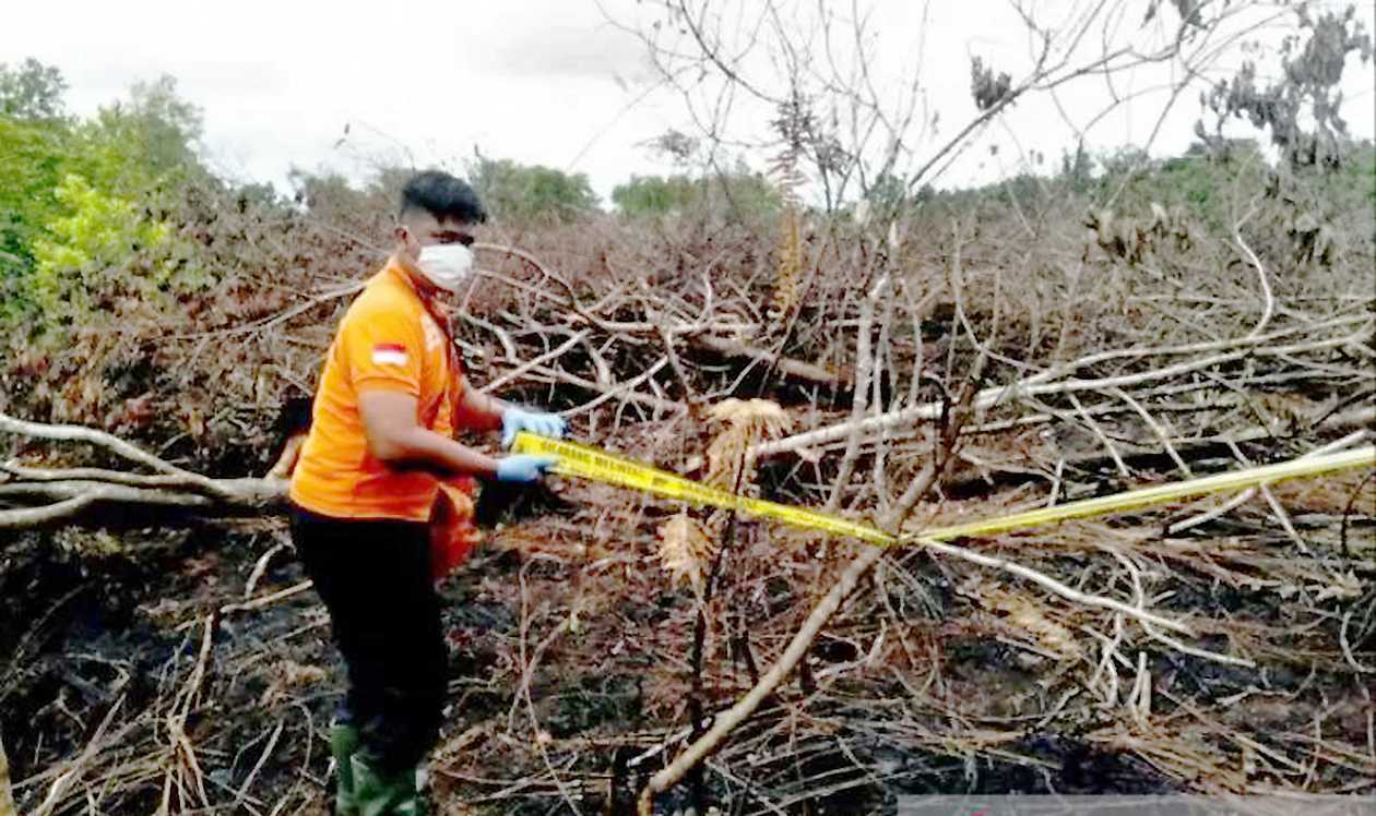 DLH Palangka Raya Optimalkan Pembukaan Lahan Tanpa Bakar