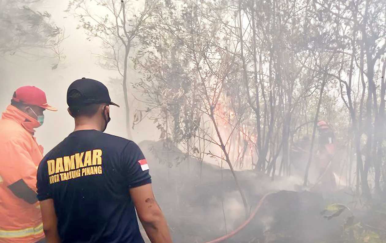 DPKP: Kebakaran di Tanjungpinang Didominasi Kebakaran Lahan
