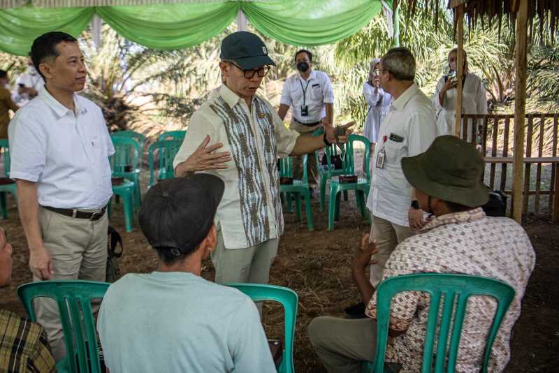 Dukungan pembiayaan petani kelapa sawit oleh OJK 1