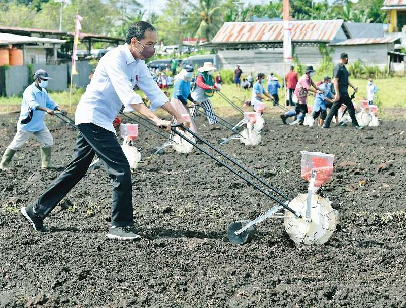 Ekonomi Rakyat Papua Harus Dibangun dari Bawah