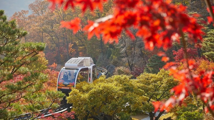 Enam Destinasi untuk Menikmati Keindahan Musim Gugur di Seoul