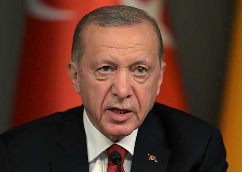 Erdogan Berharap Kesepakatan Biji-bijian Diperpanjang