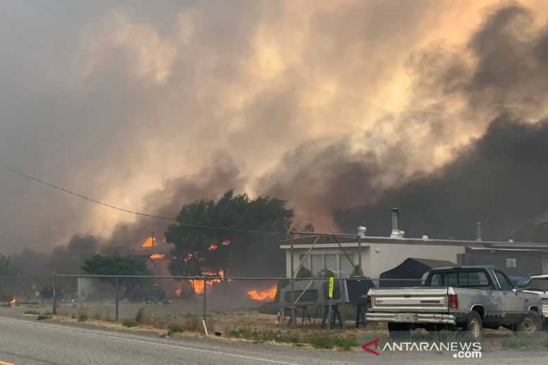 Gawat, Kebakaran Hutan Ancam Hanguskan rumah di Halifax, Kanada