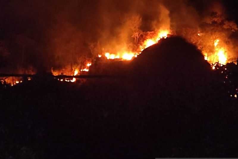 Gawat Mengerikan, Kebakaran Gunung Jayati di Palabuhanratu Semakin Meluas