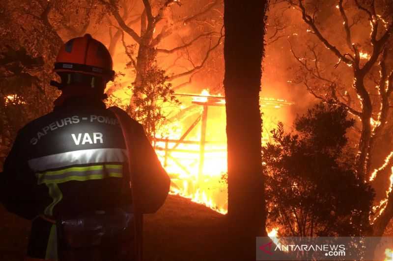Gawat Mengerikan Semoga Tidak Jatuh Korban Jiwa, Kebakaran Hutan Merajalela di Portugal