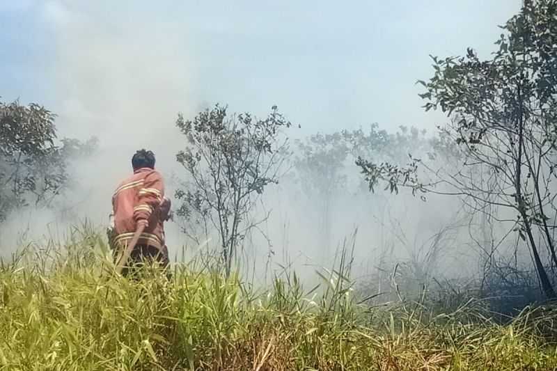 Gerak Cepat, Disdamkar Padamkan Kebakaran Lahan Seluas Satu Hektare di Natuna