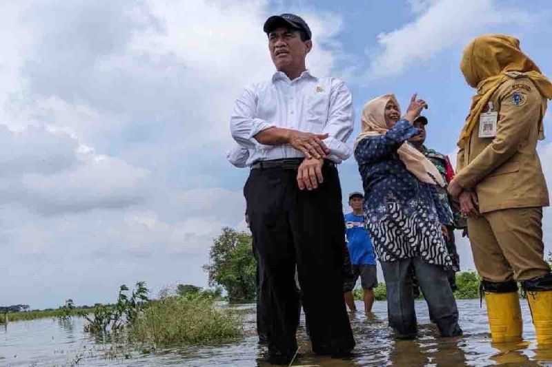 Gerak Cepat, Mentan Koordinasi ke Kementerian PUPR untuk Atasi Lahan Pertanian Jateng Kebanjiran